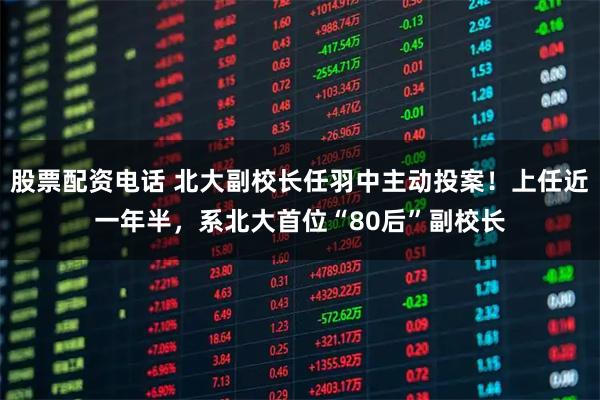 股票配资电话 北大副校长任羽中主动投案！上任近一年半，系北大首位“80后”副校长